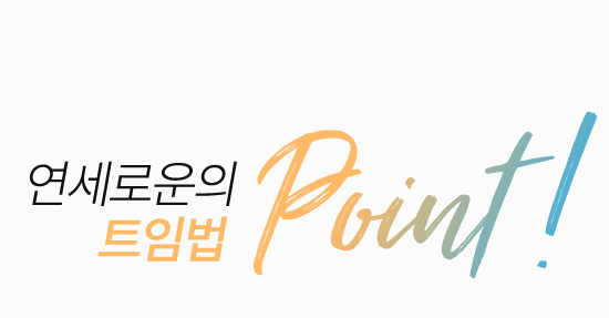 새김성형외과의 트임성형 point