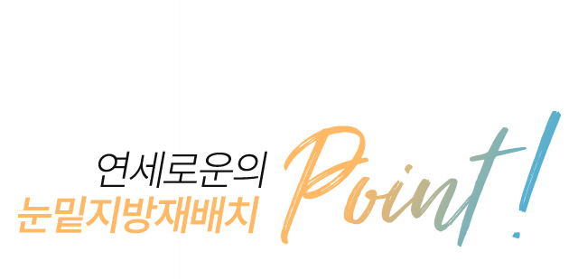 연세로운성형외과의 트임성형 point