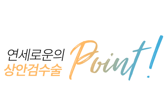 연세로운성형외과의 상안검수술 point