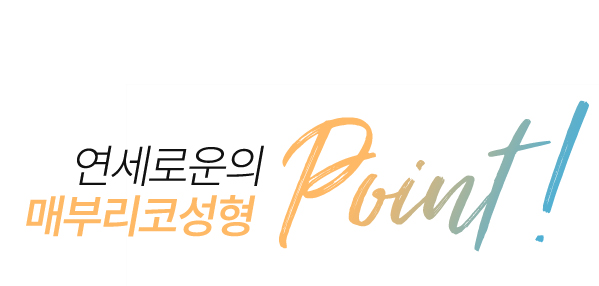 연세로운성형외과의 매부리코성형 point