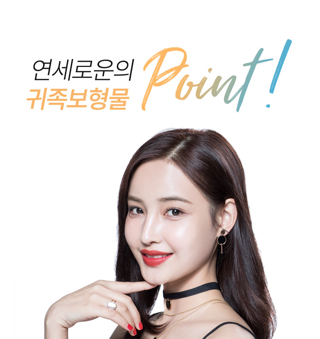 연세로운의 귀족보형물  point